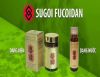 sugoi-fucoidan - ảnh nhỏ  1